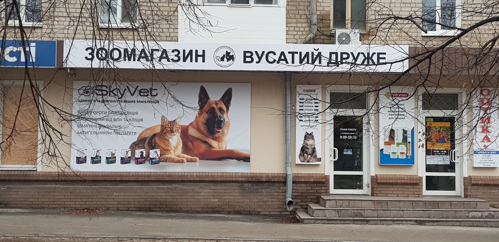 Вусатий Друже