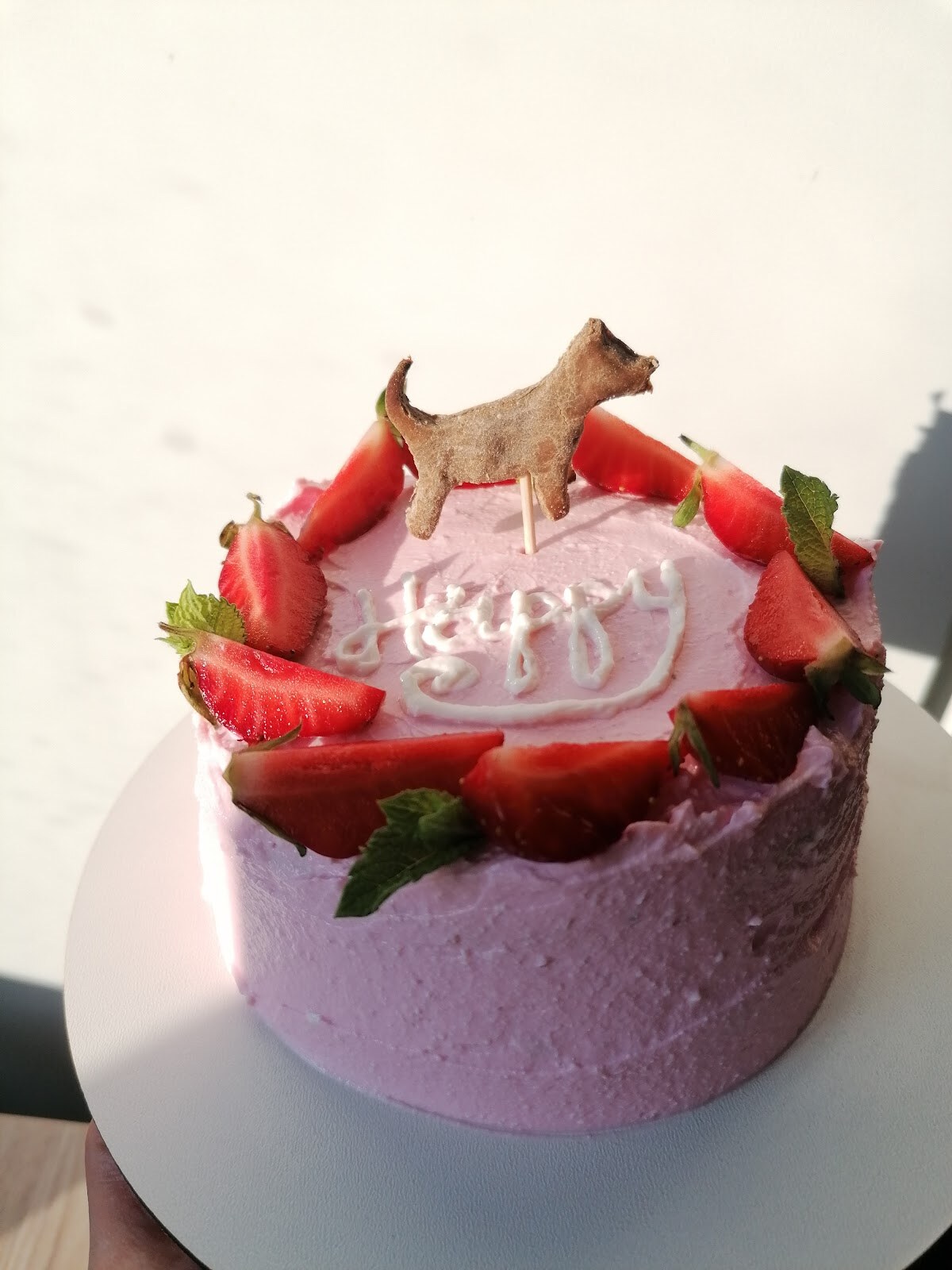 Dolya's Treats: тортики для собак та корисні ласощі