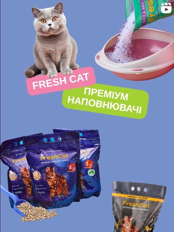 БелліZoo