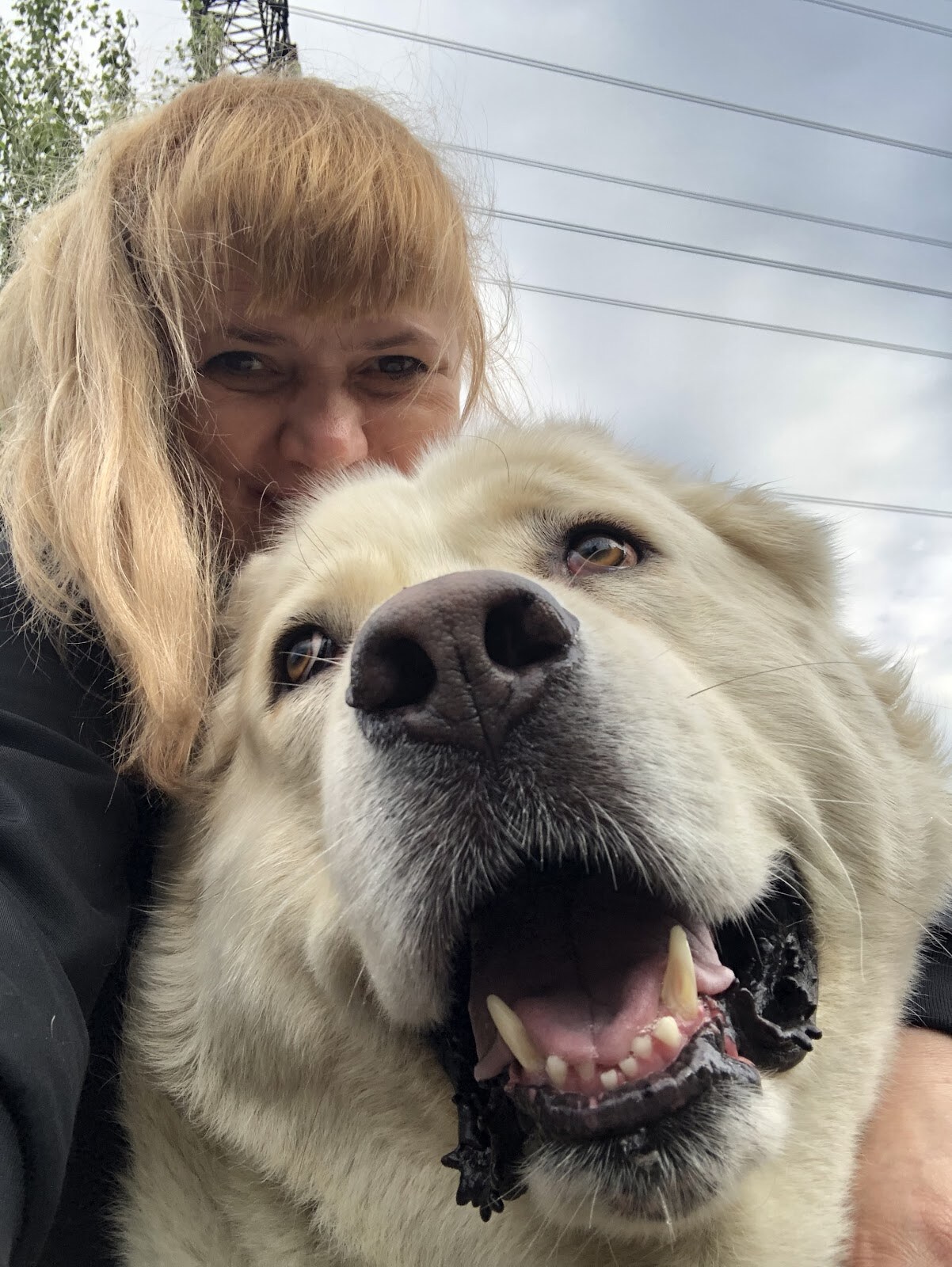 Vet Life Clinic на Гагаріна