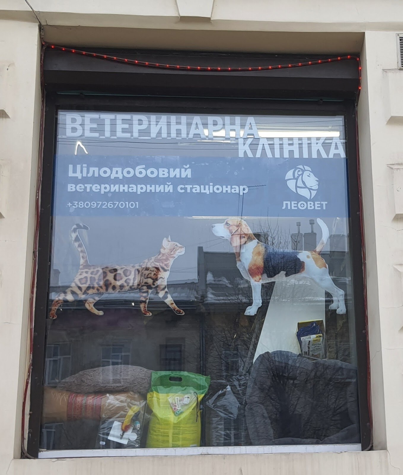 Ветеринарна клініка стаціонар цілодобовий ЛеоВет