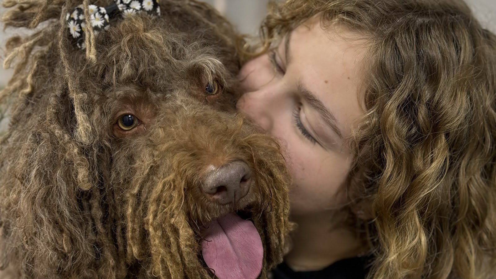 V.O.G DOG SALON