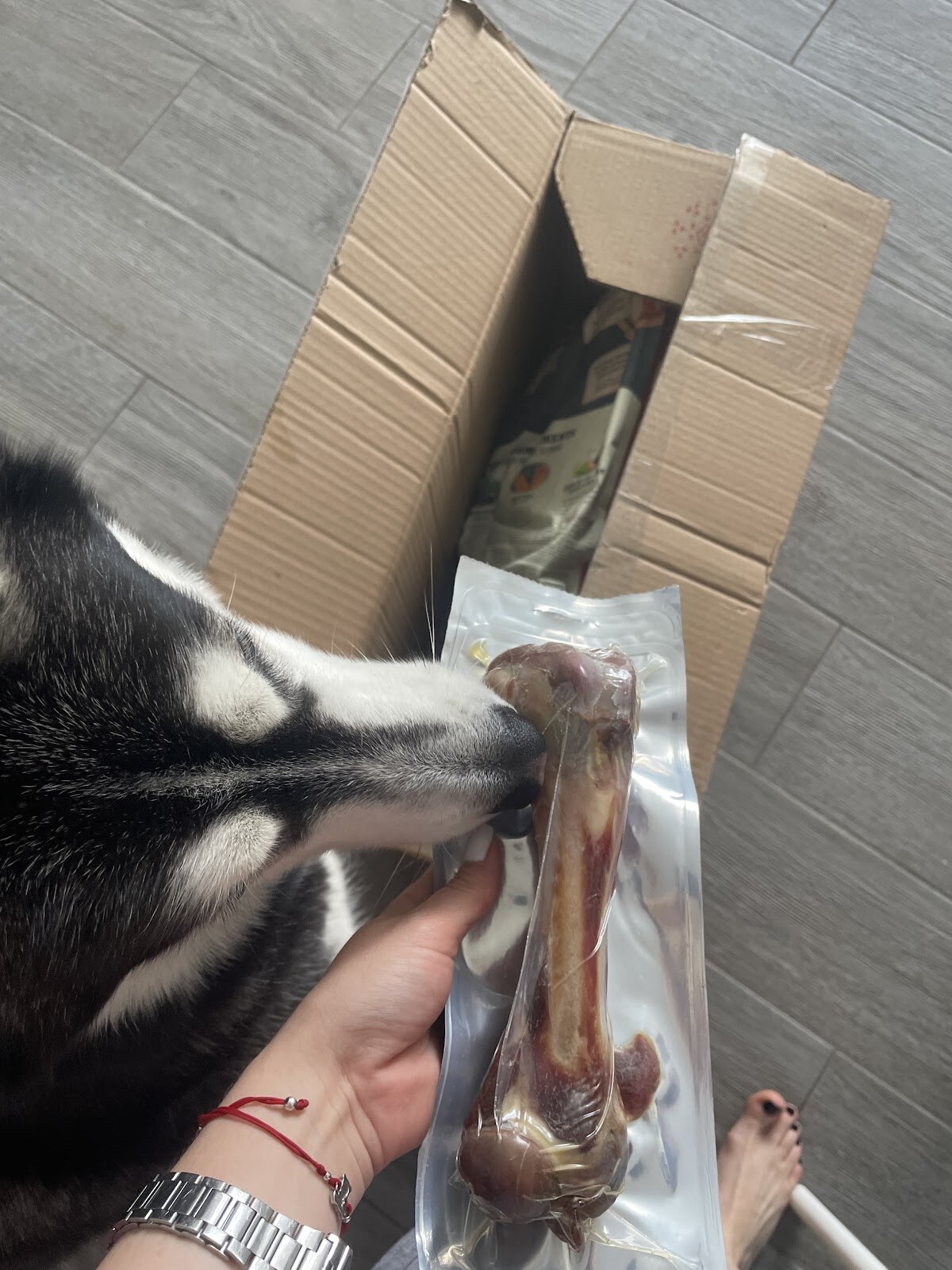PetPatron