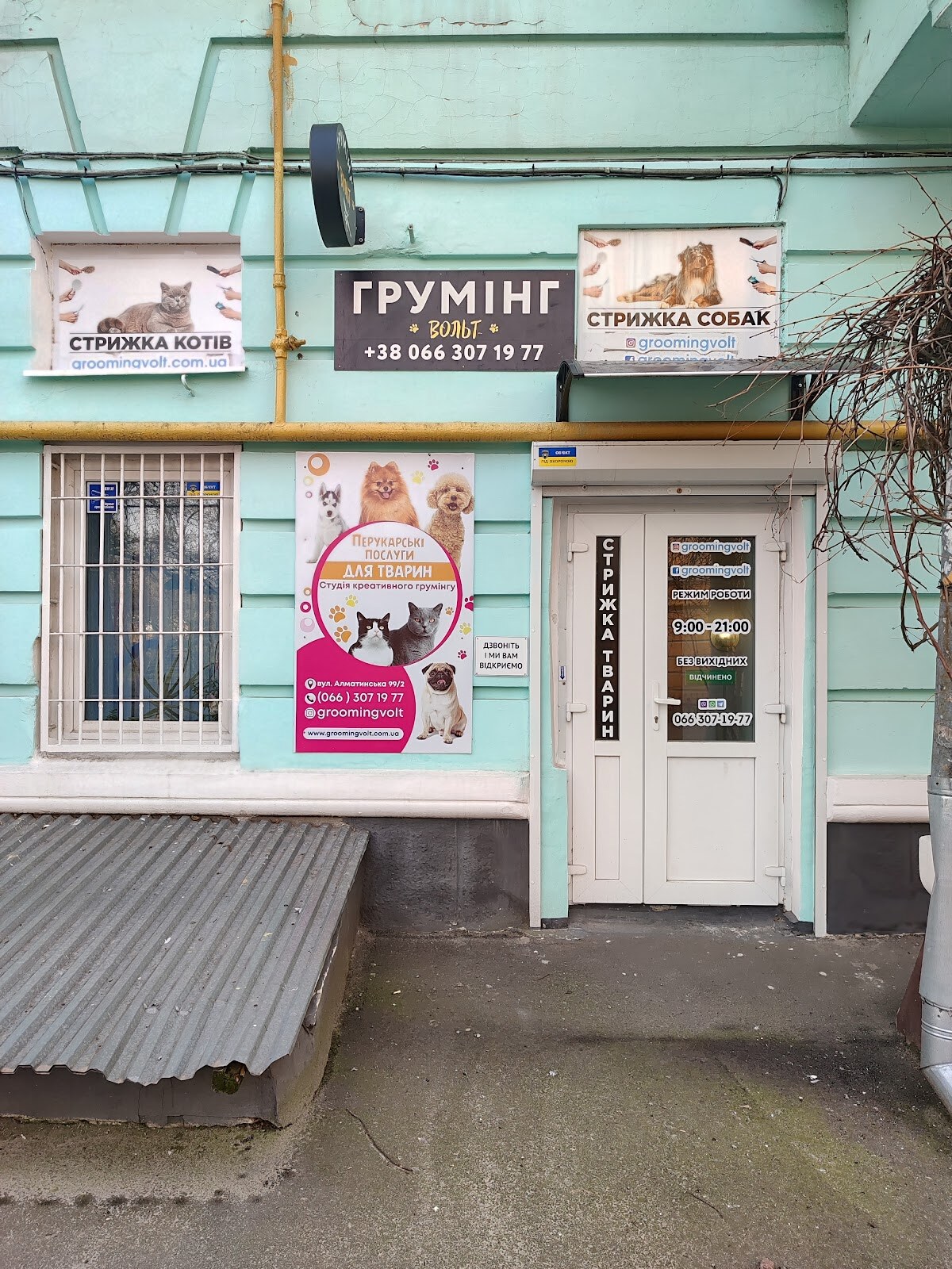 Грум-салон «Вольт»