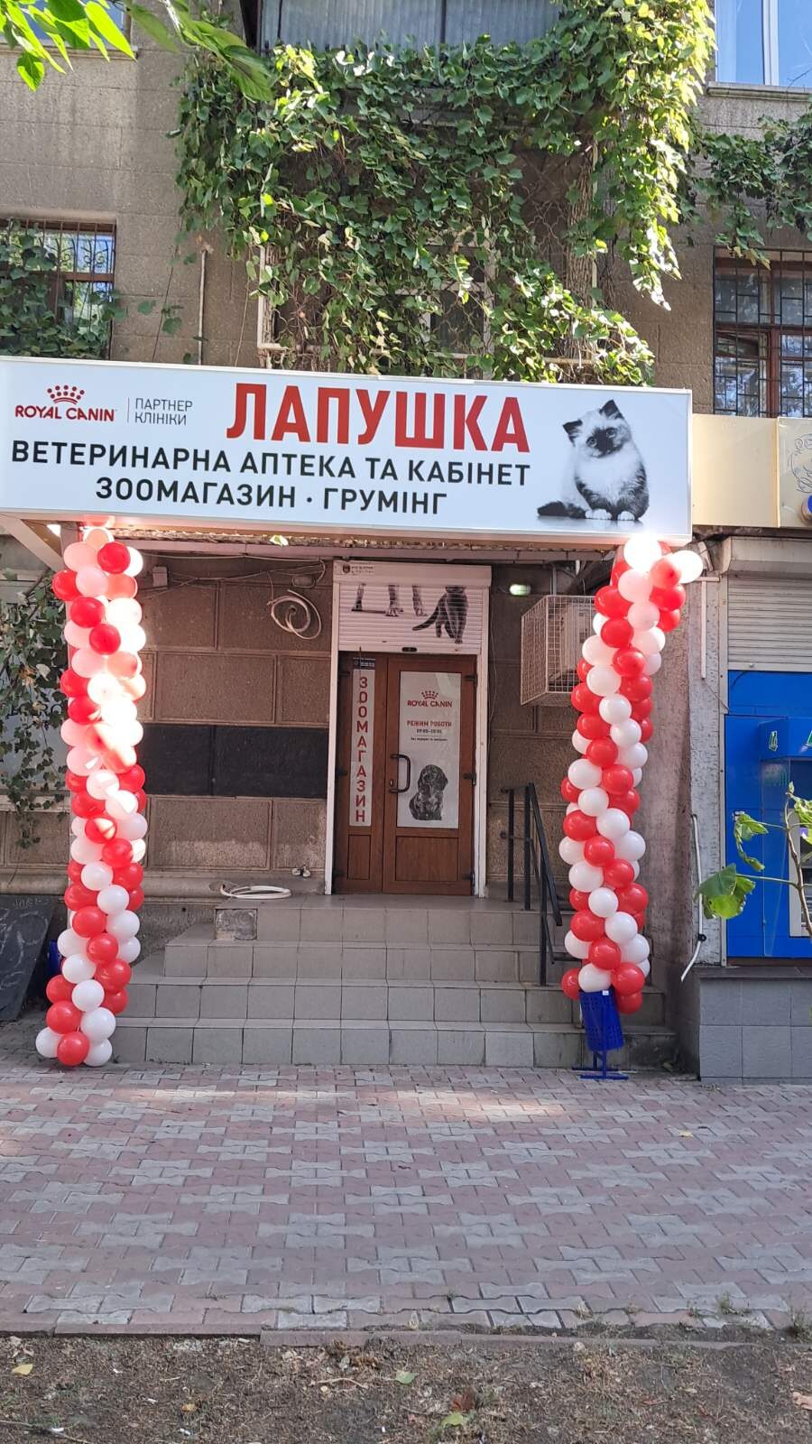 Лапушка