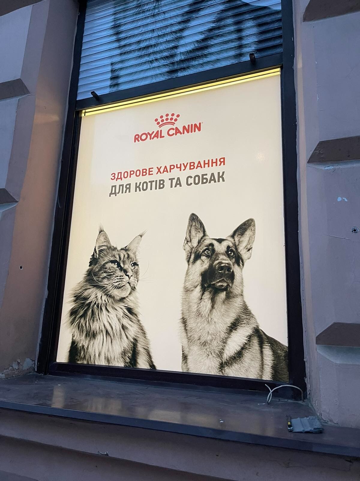 Зоомагазин Happy Tails