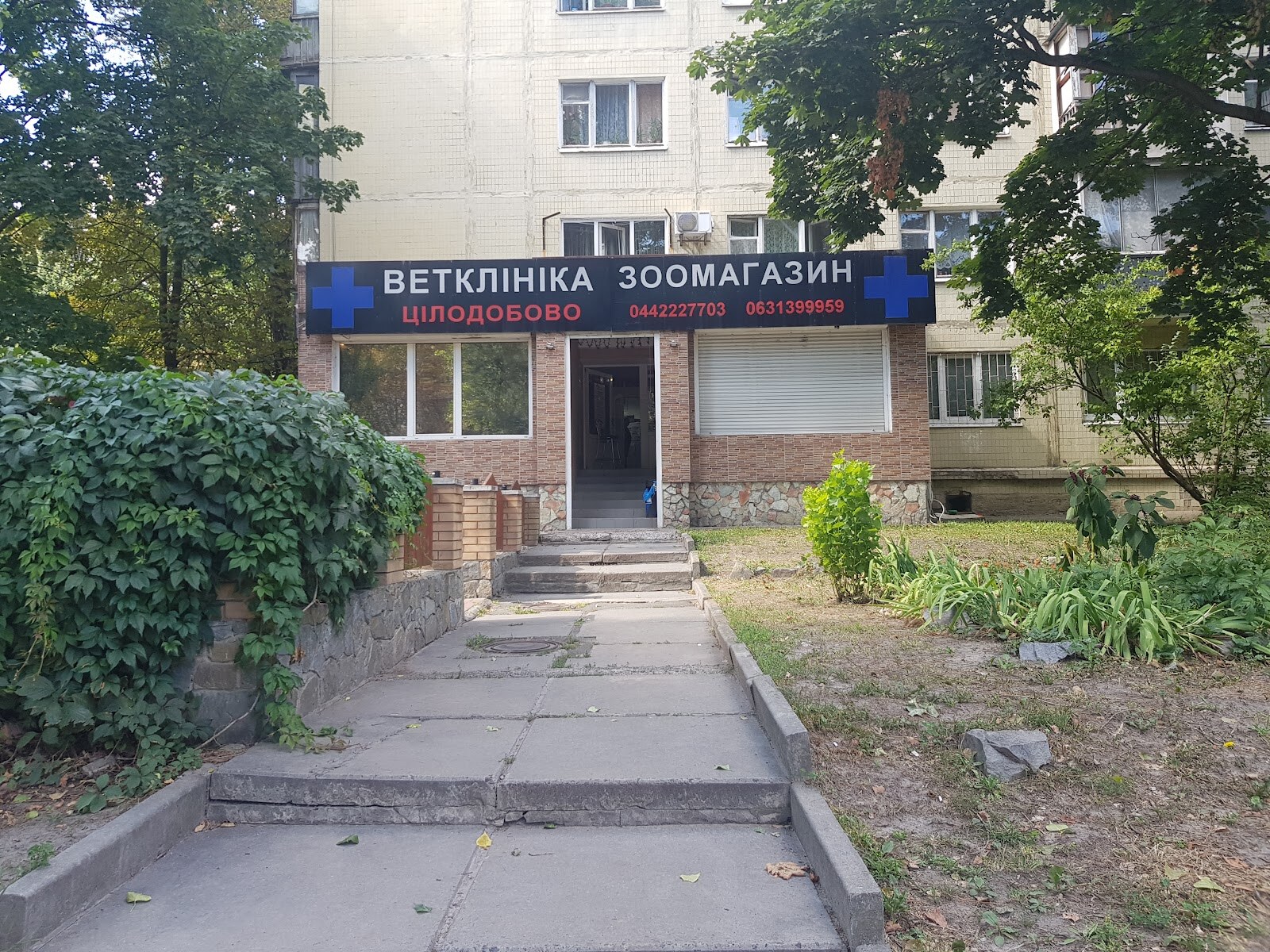 Велика Ведмедиця