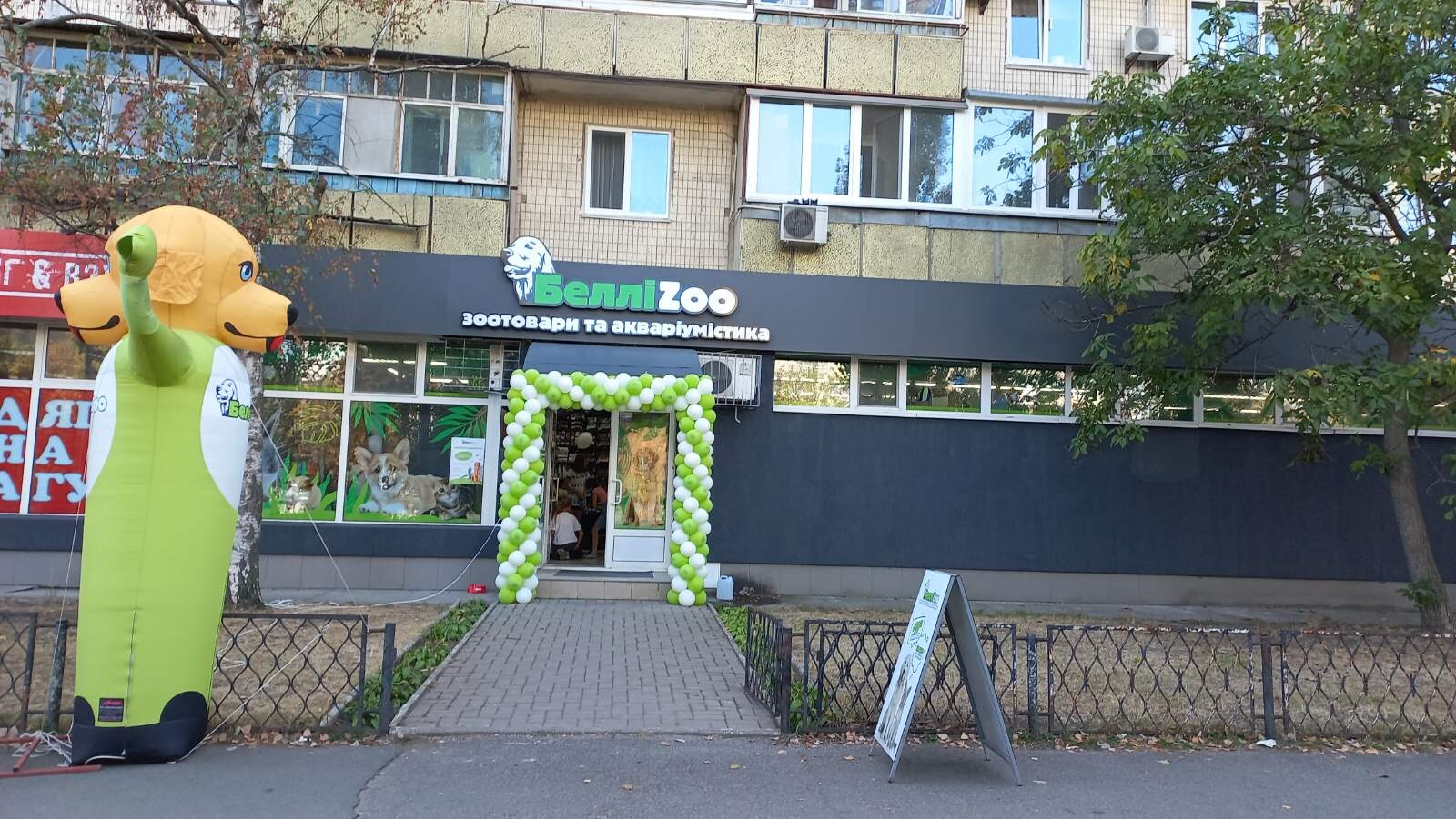 БелліZoo