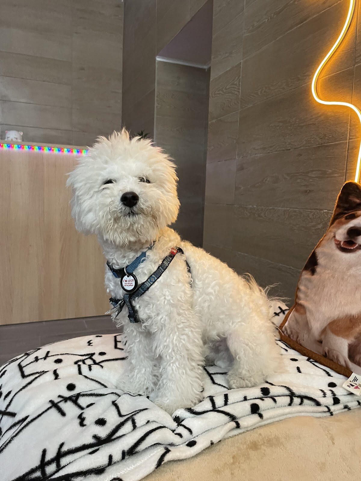 PETLAND