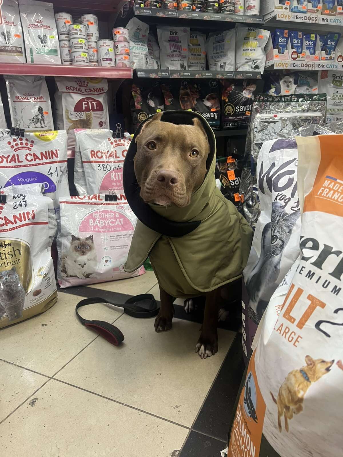 Зоомаркет