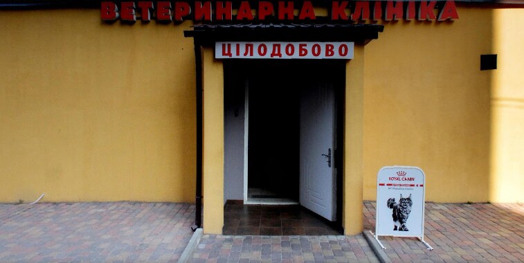 Цілодобова Ветеринарна клініка Dingo