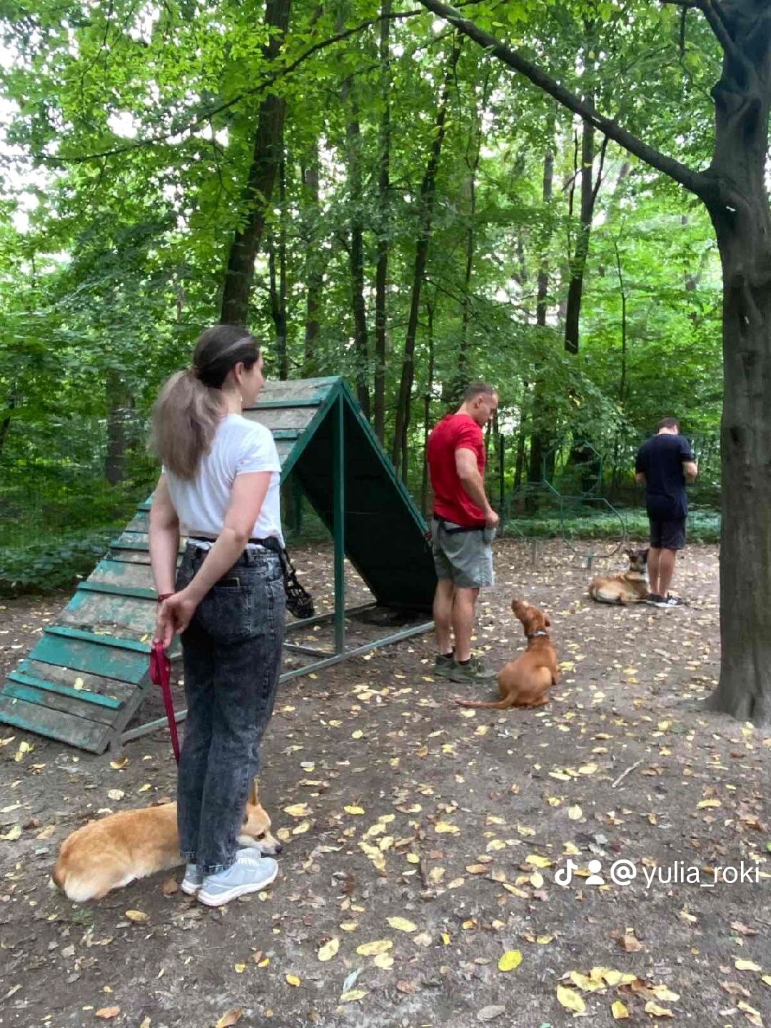 Острівець вільних та вихованих (КЦ «Кронос»)