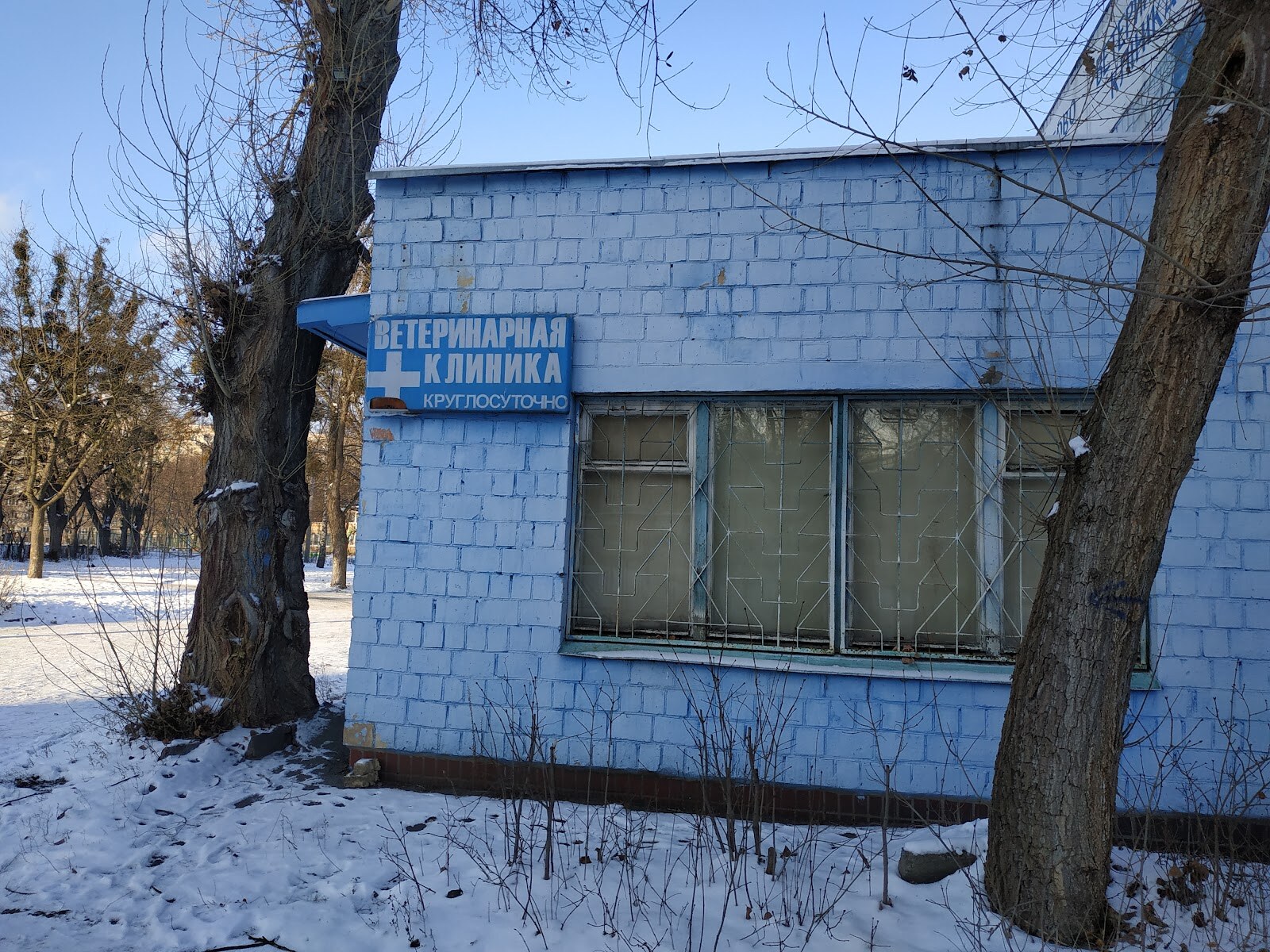 Велика Ведмедиця