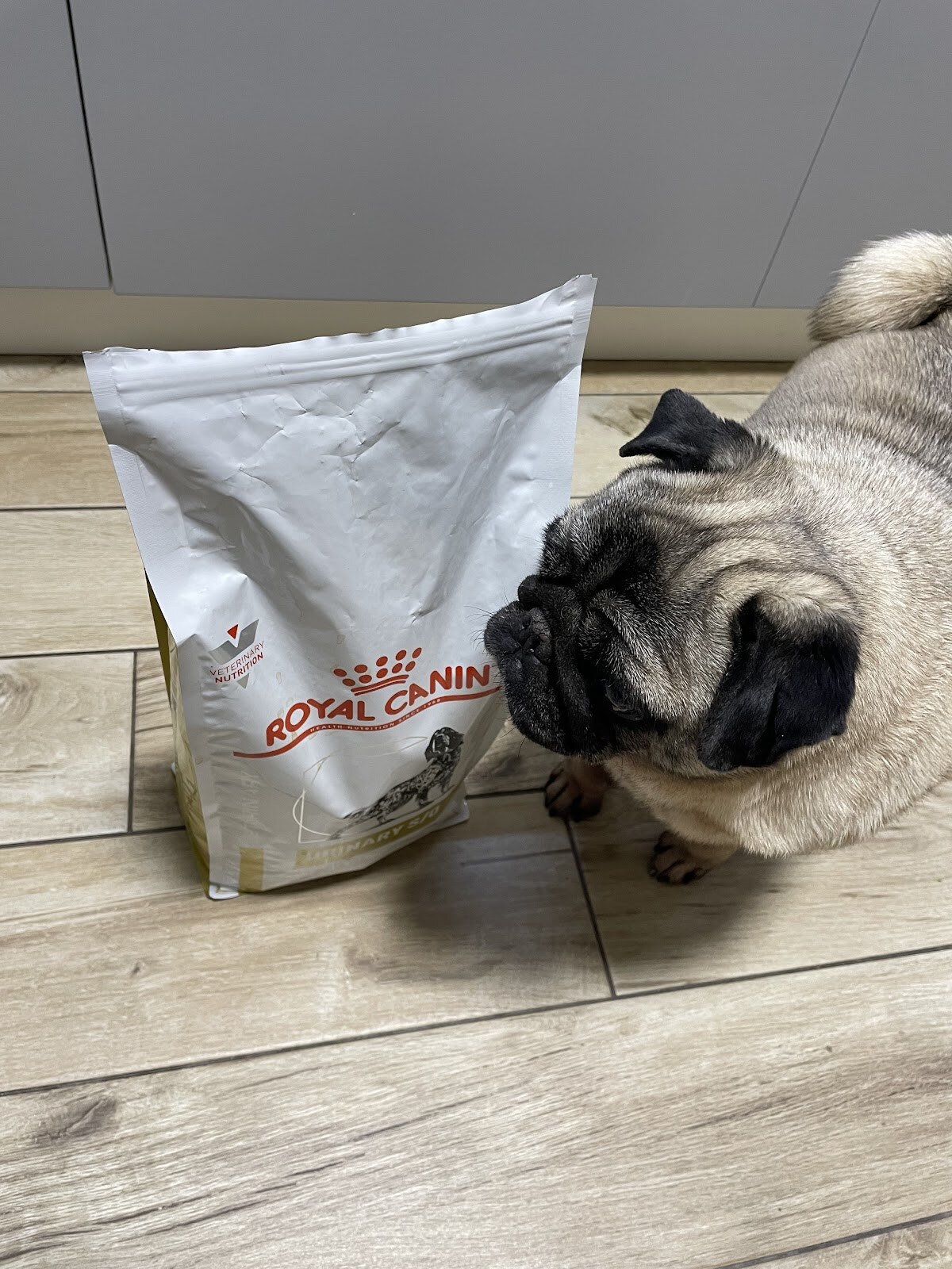 Зоомагазин Royal Canin
