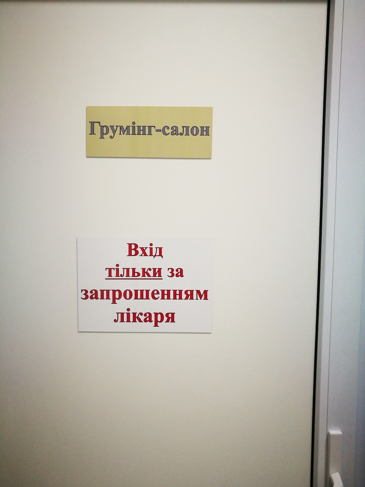 Сімейний улюбленець