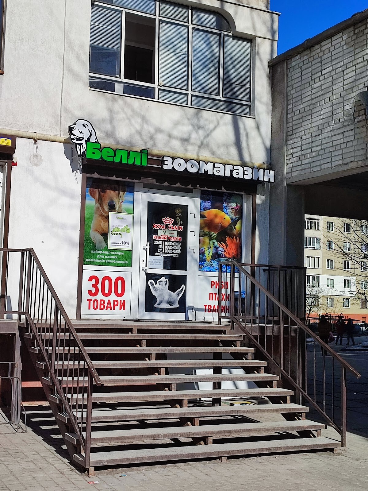 БелліZoo