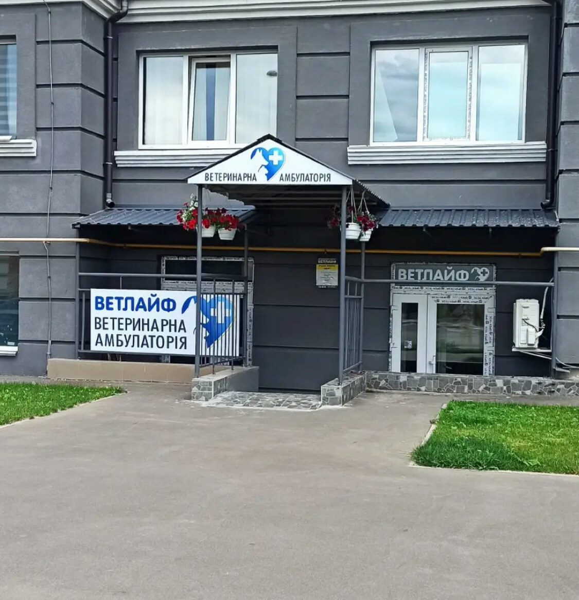 Ветлайф