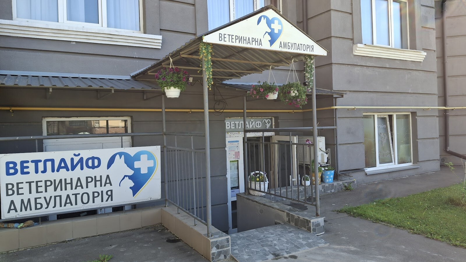 Ветлайф