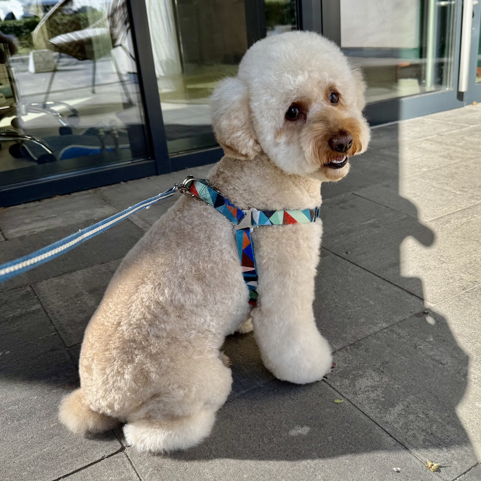 Wuff Groom