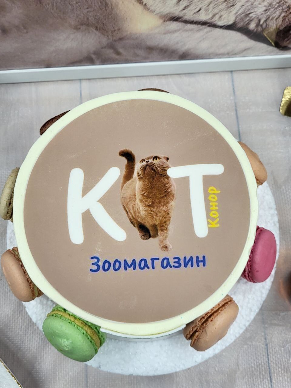 Зоомагазин Кіт Конор