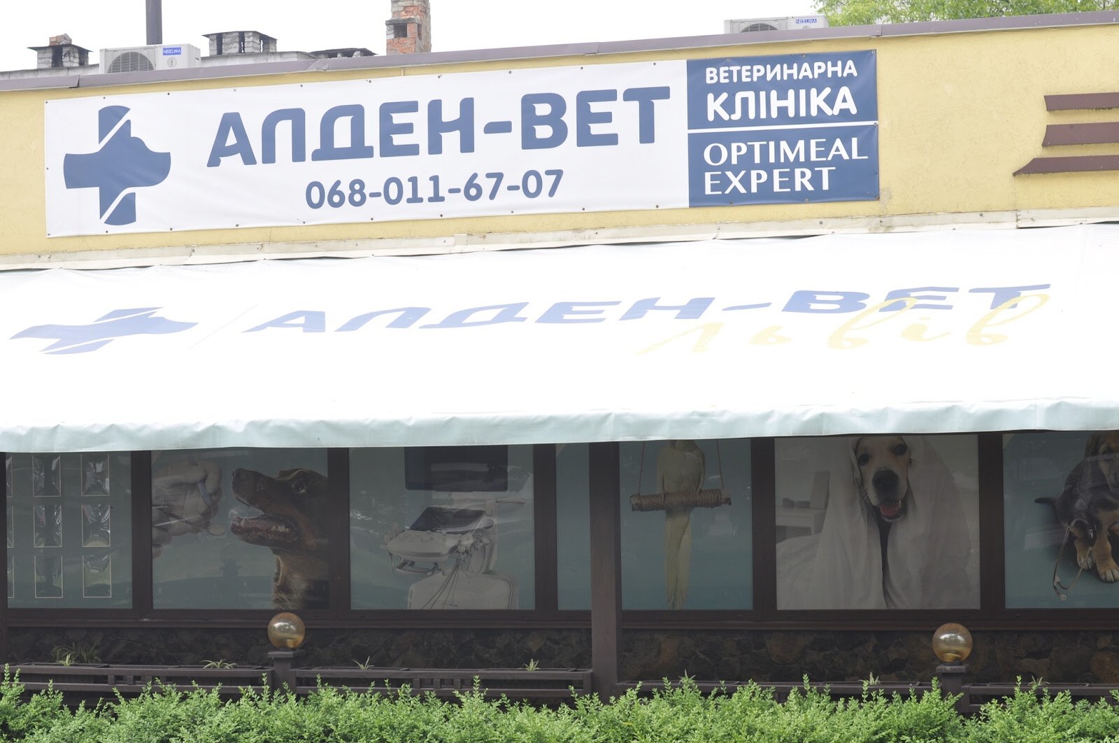 Ветеринарна клініка Алден - Вет