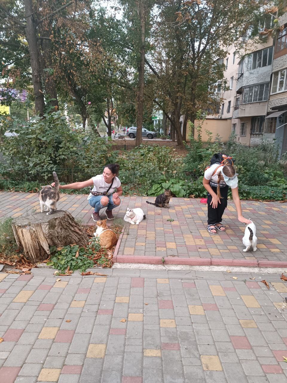 Зоосалон Цуцик