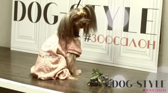 Стрижка собак