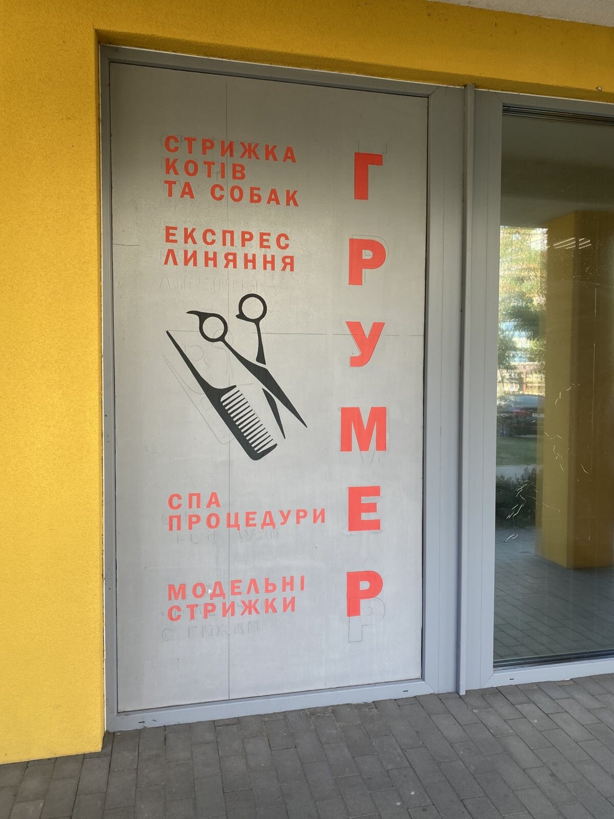 Кот Василий