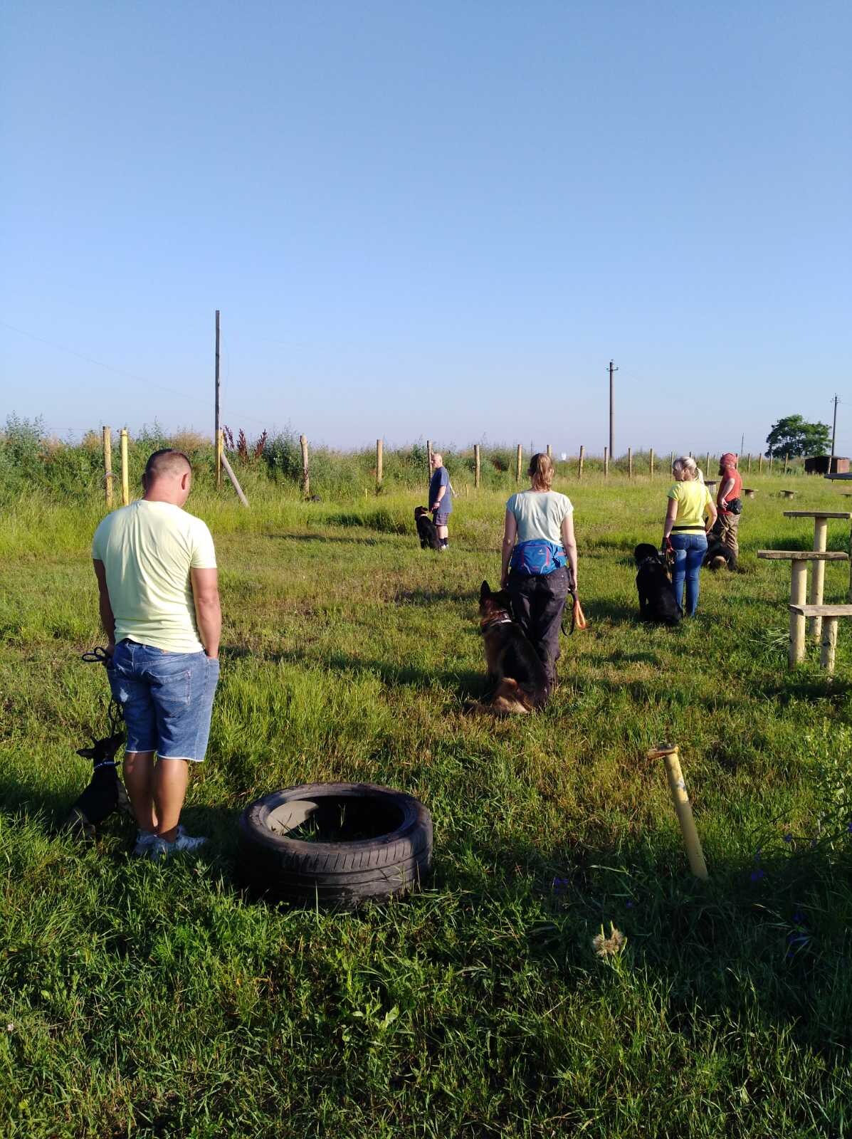 Дрессировка собак в Дайберге
