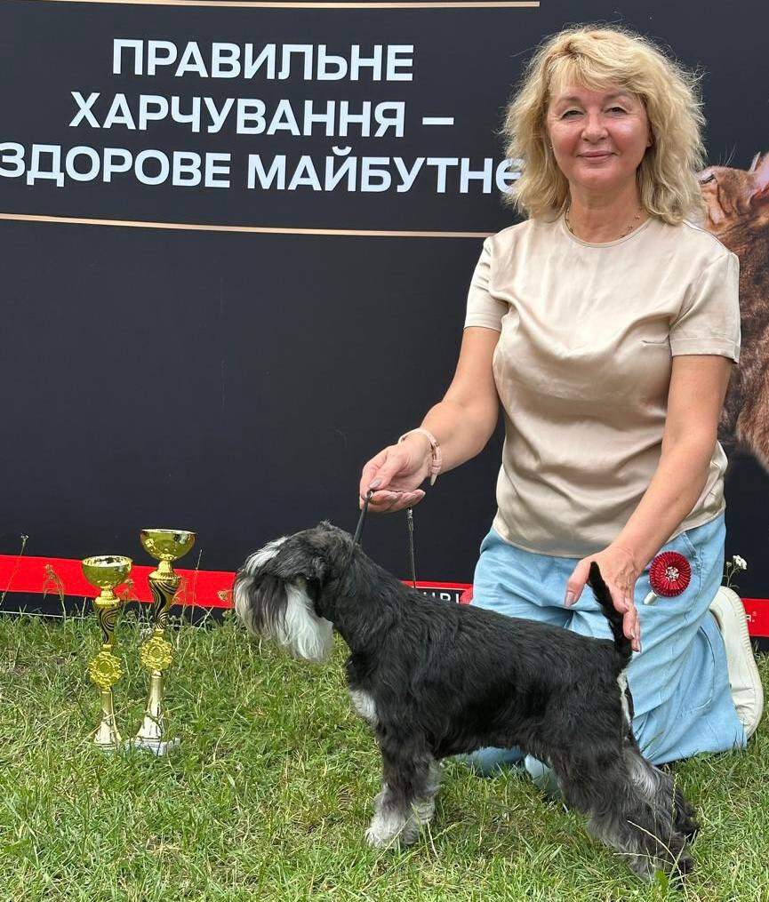 Грумінг Салон «ПрофіГрум»