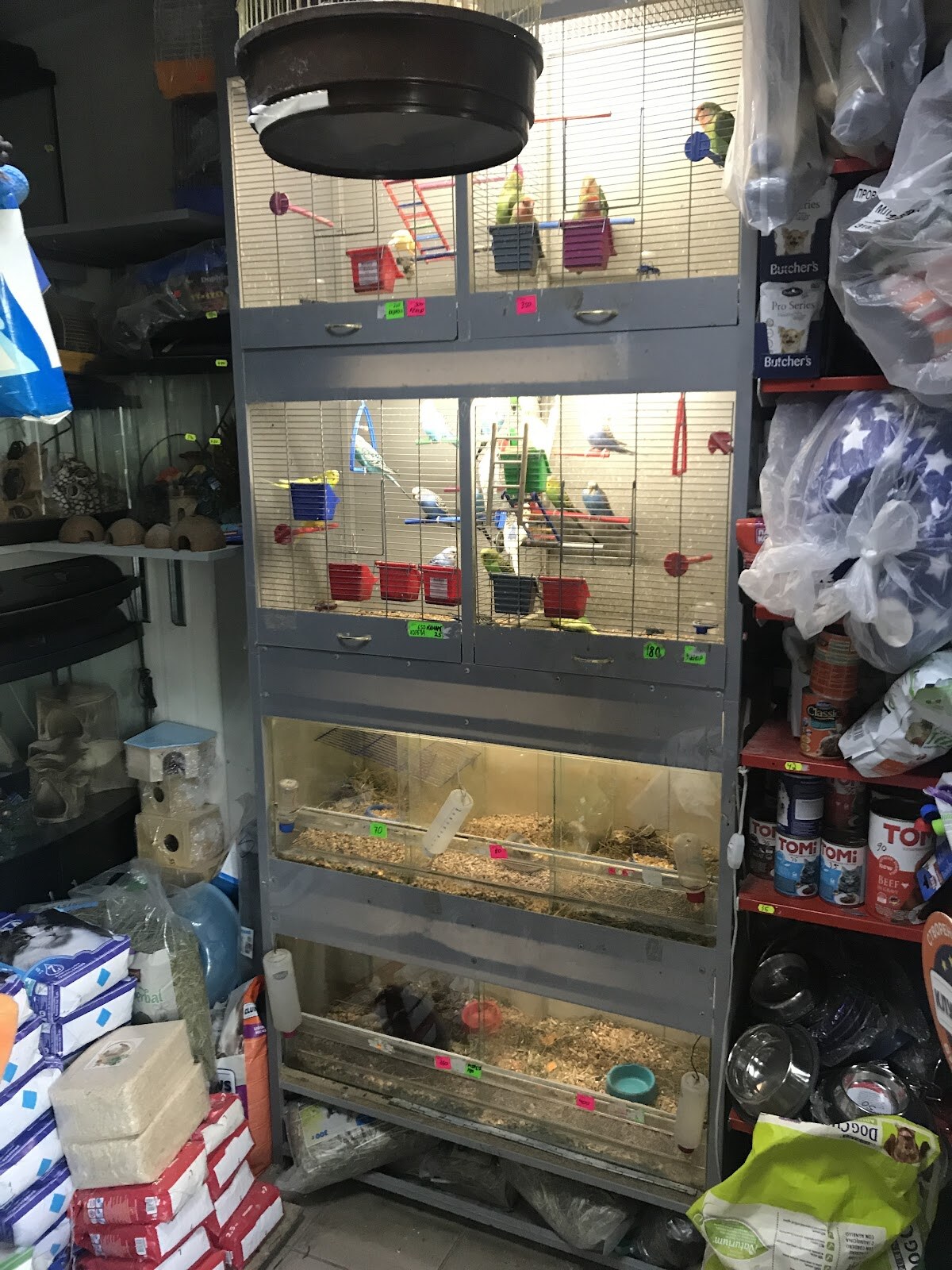 Зоомагазин Золота Рибка