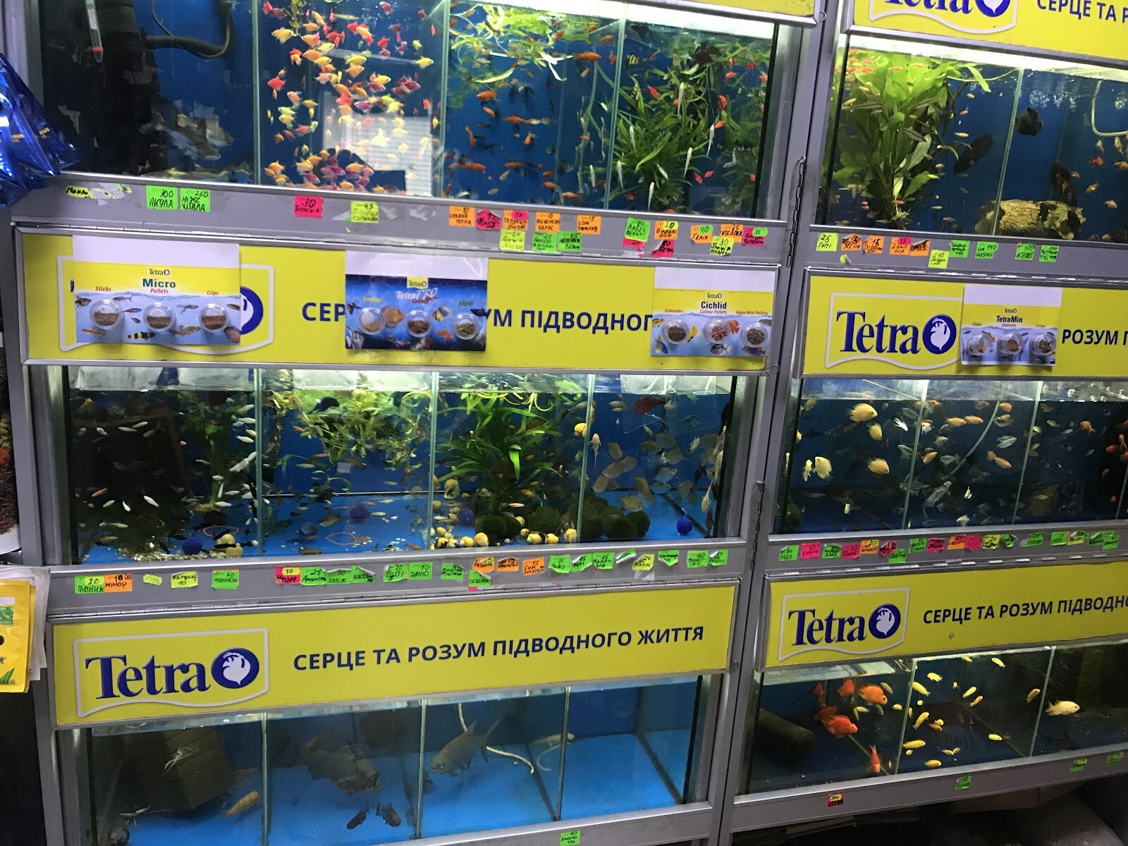 Зоомагазин Золота Рибка