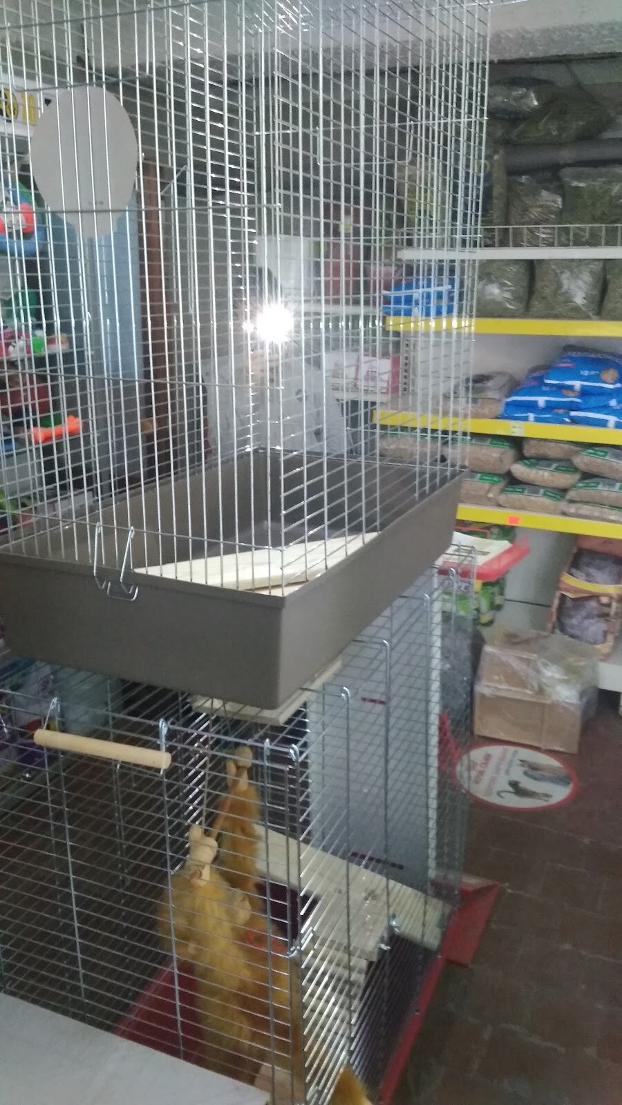 ZooTEO