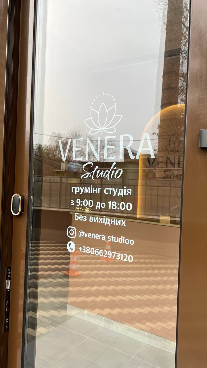 Venera studio