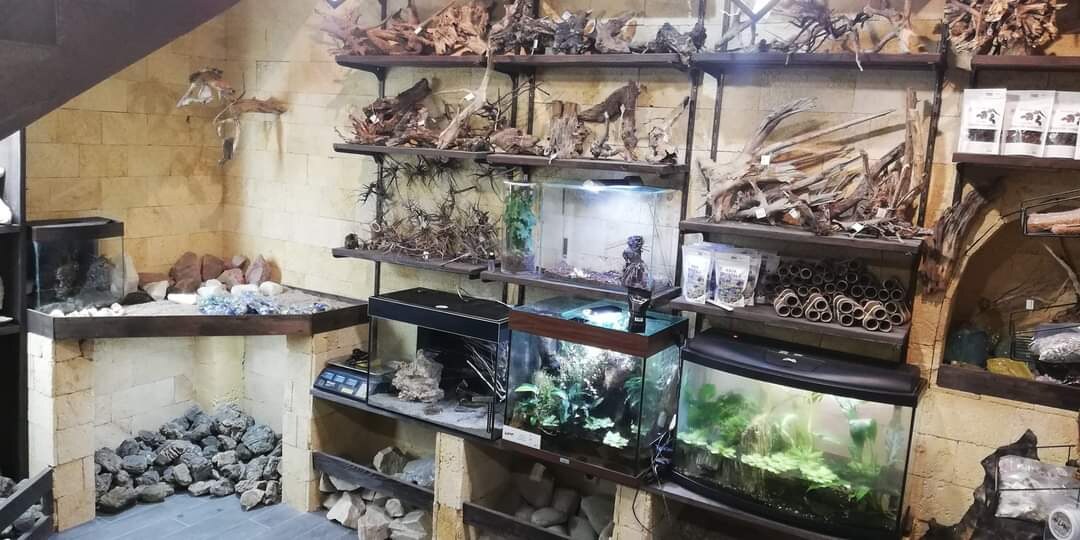 Zoo Хата