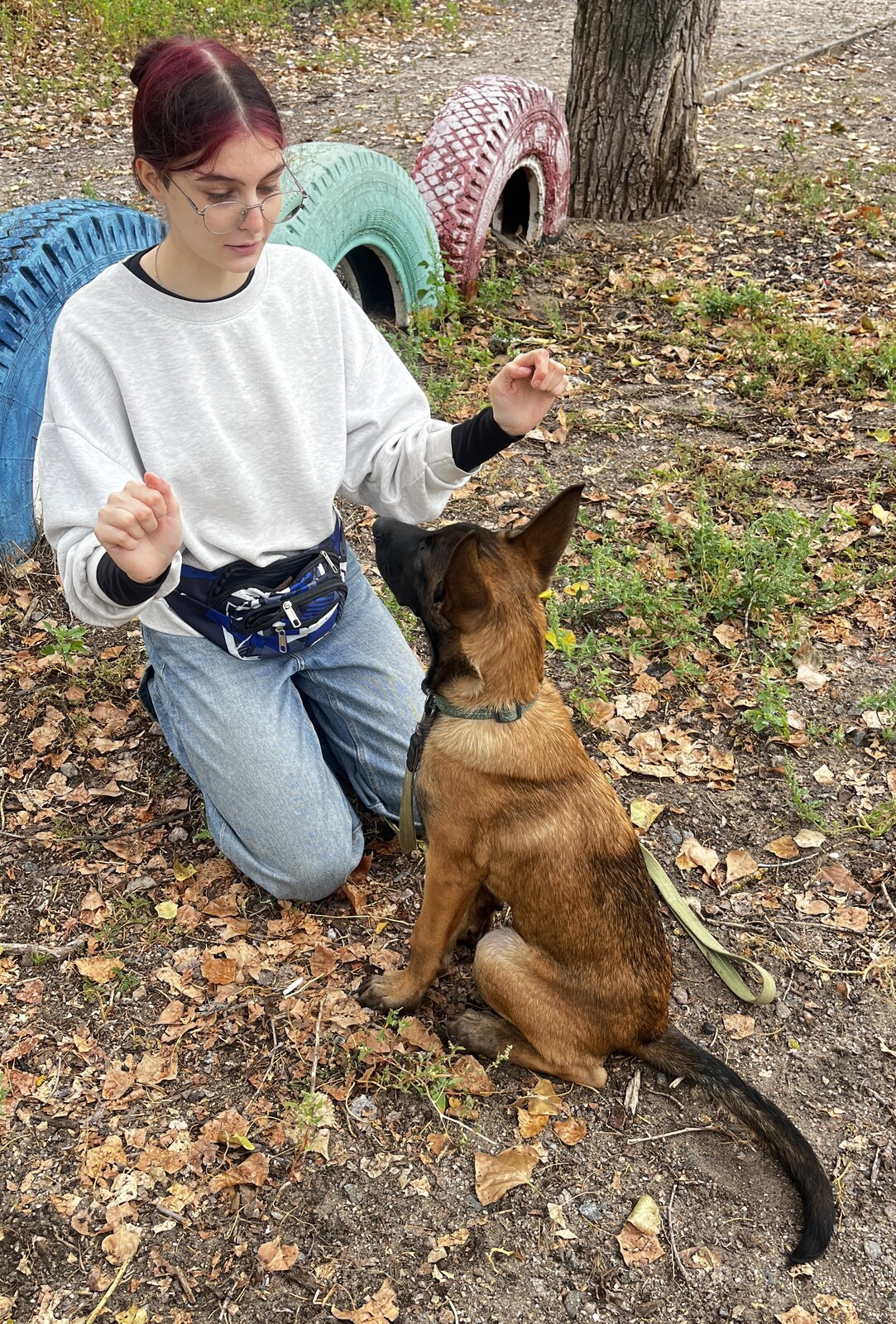 Запорізький клуб собаківництва ТСОУ