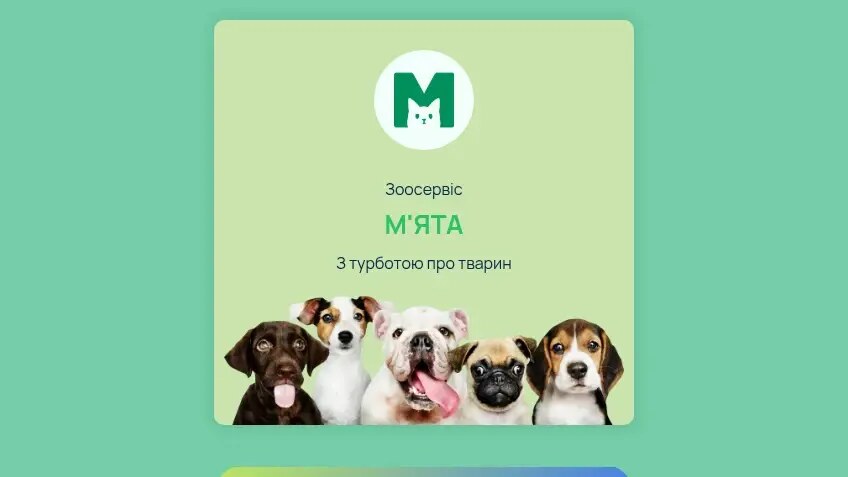 Зоосервіс «Мята» — грумінг, ветеринарія