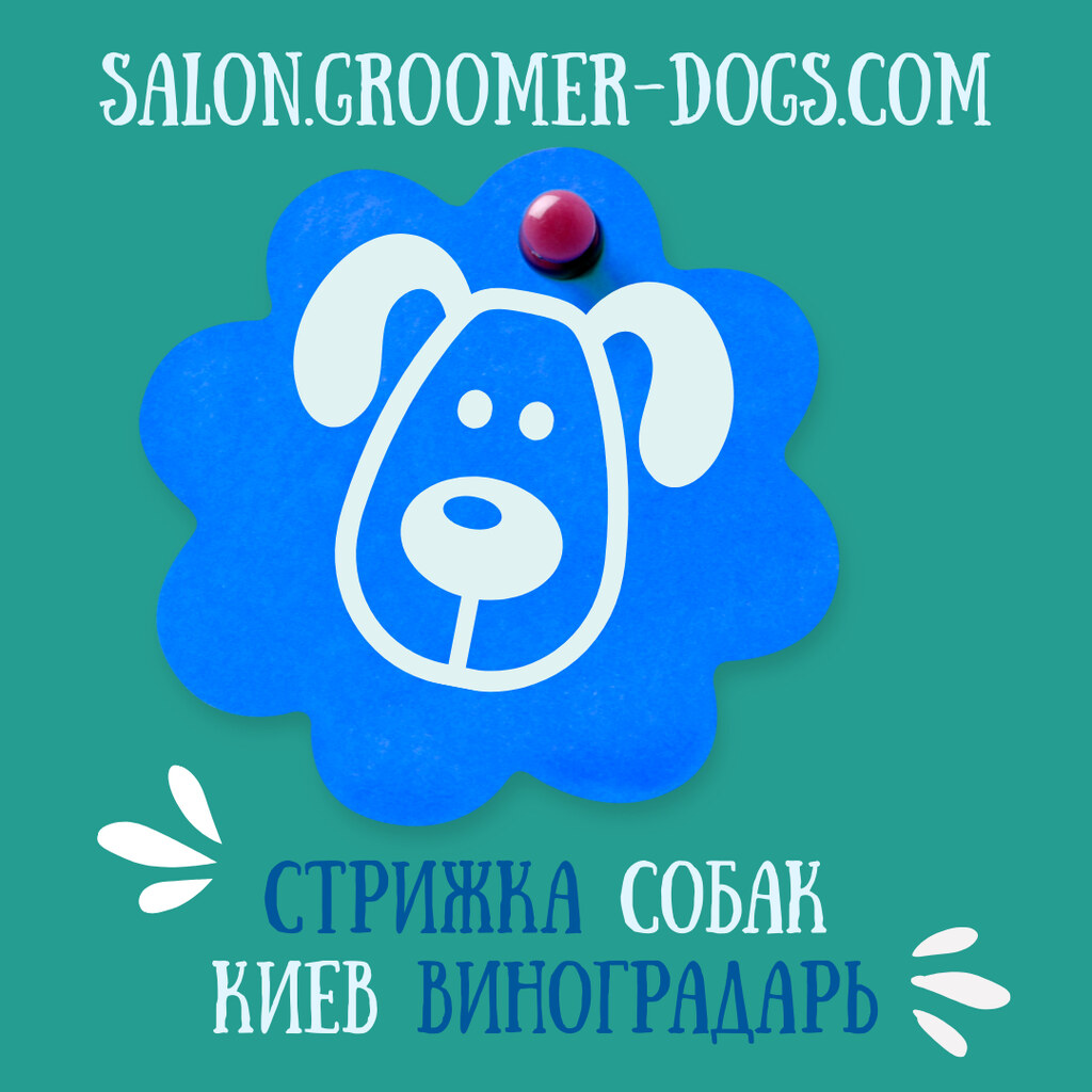 Стрижка собак - груминг в салоне на Виноградаре