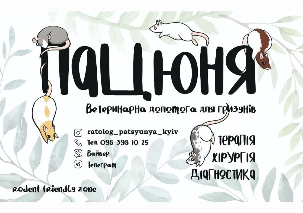 Ветеринарна допомога для гризунів «Пацюня»