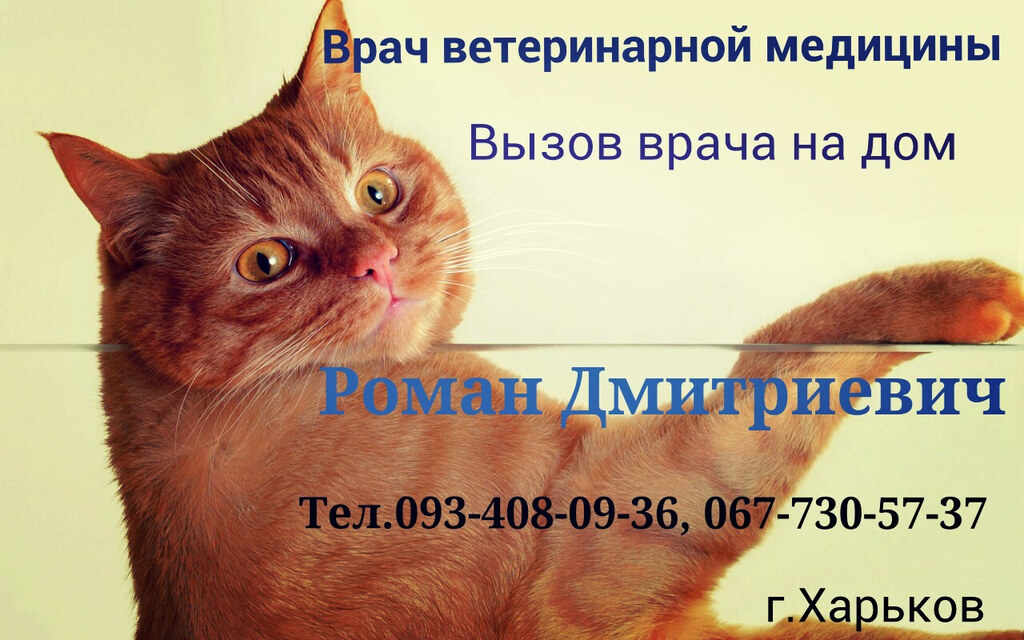 Ветеринар на дом