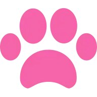 V.O.G DOG SALON
