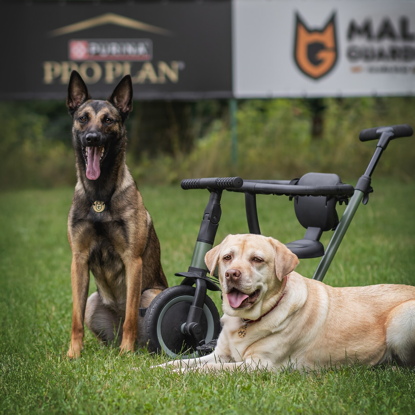 MaliGuards Club K9