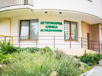 Цілодобова ветеринарна клініка Ветмедкомплекс Львів