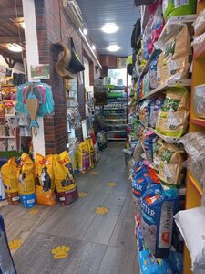 Зоомагазин Лакі та Грумінг