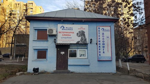 Велика Ведмедиця