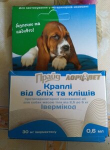 Зоомагазин «Лев»