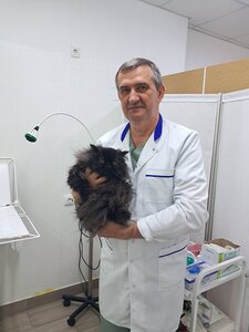 вет. кабинет