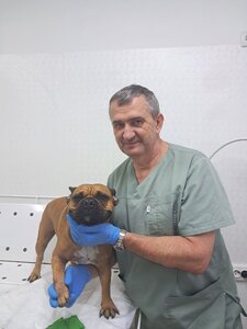 вет. кабинет