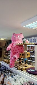 Зоомагазин Pink Paw