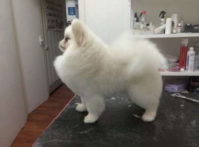 Grooming Ольги Слюсарь